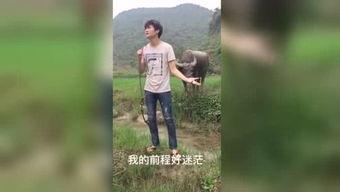 国产午夜福利视频在线,揭秘国内私密娱乐产业现状